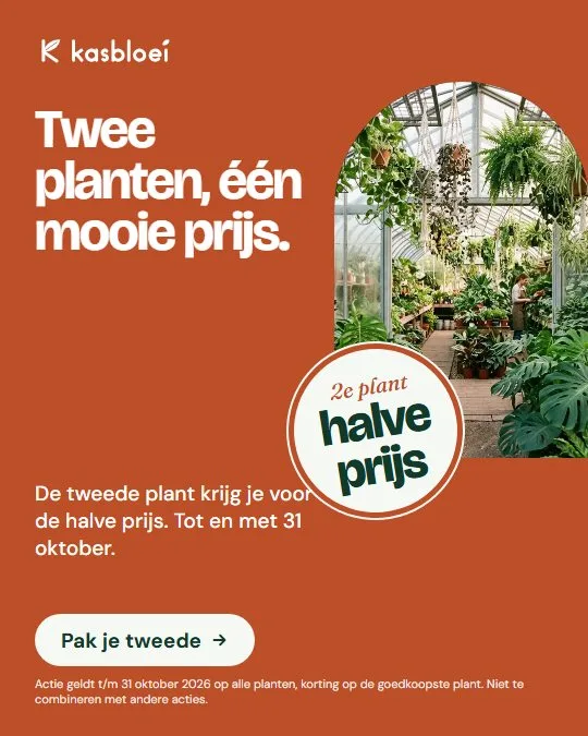 Advertentie van Kasbloei: Twee planten, één mooie prijs. De tweede plant halve prijs.
