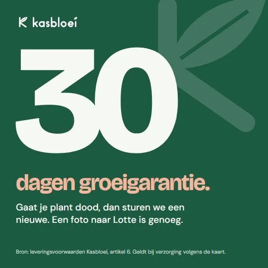 Advertentie van Kasbloei: 30 dagen groeigarantie, in grote cijfers.