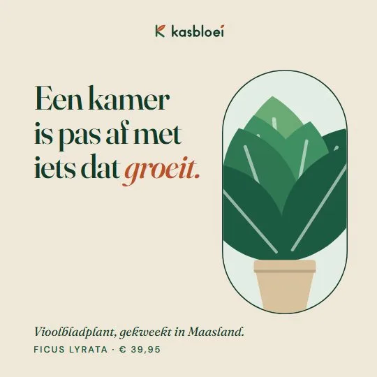 Advertentie van Kasbloei: Een kamer is pas af met iets dat groeit. Een vioolbladplant.