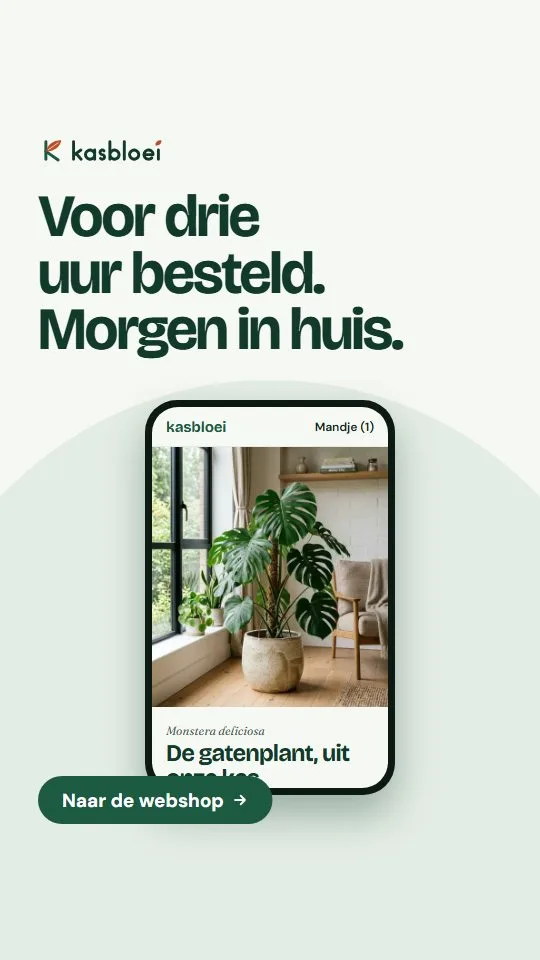 Advertentie van Kasbloei: Voor drie uur besteld. Morgen in huis. De webshop op een telefoon.